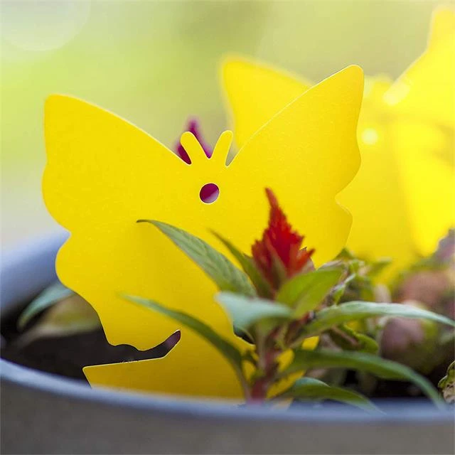Butterfly Shape Yellow Sticky Trap 4