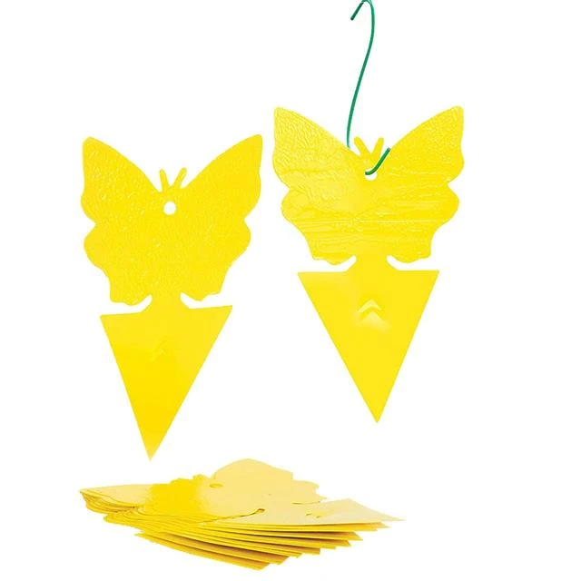 Butterfly Shape Yellow Sticky Trap5