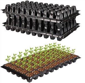 Bandejas de plántulas de 72 células